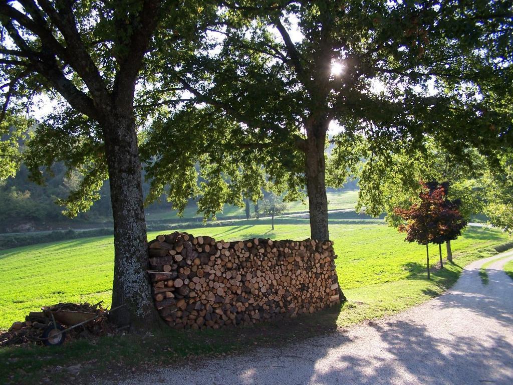Agriturismo Fontandrone Villa Pieve Santo Stefano Kültér fotó